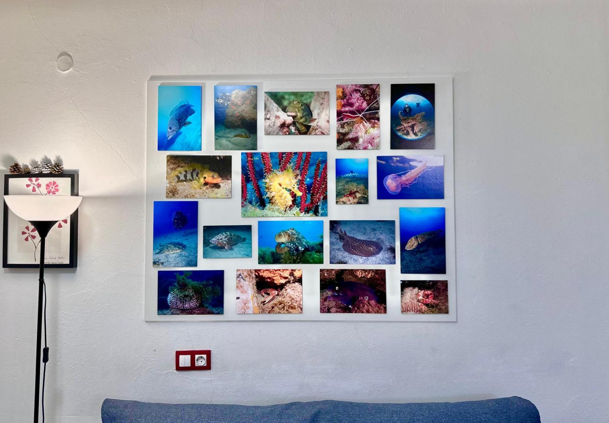 Black Sand Loft Telde Dış mekan fotoğraf